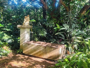 House, 3 Bedrooms, Accessible, Balcony | Property grounds - One of Maleny's Best-kept Secrets (Maleny)