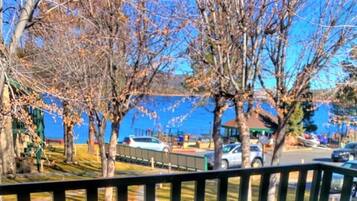 A view of a waterfront area with trees, a fence, and parked cars.