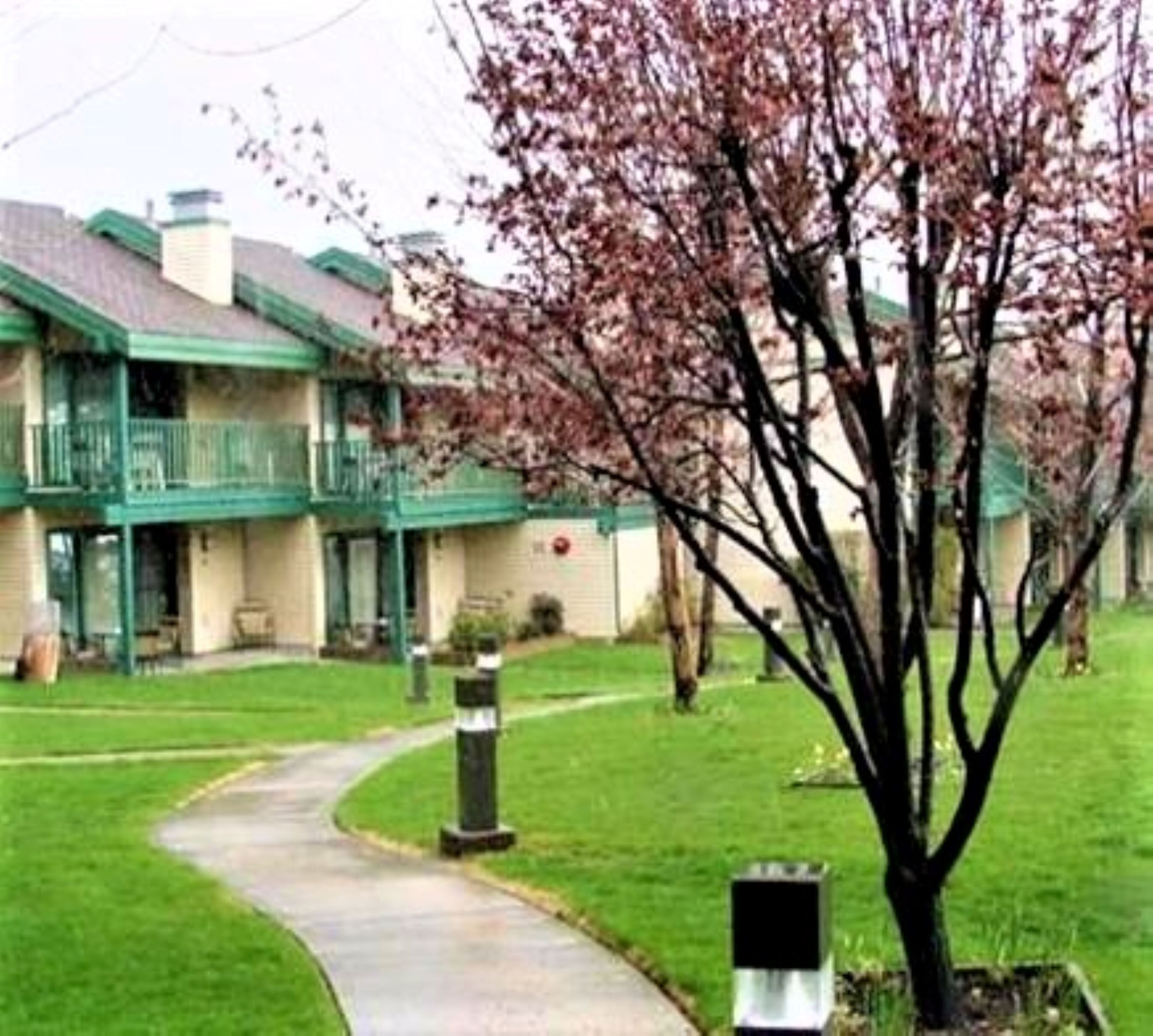 A residential building with a green roof, a pathway leading to the entrance, and a tree with pink blossoms.