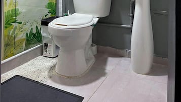 Shower, hair dryer, bidet, towels