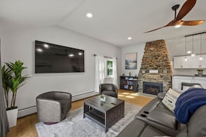 Smart TV, fireplace, books