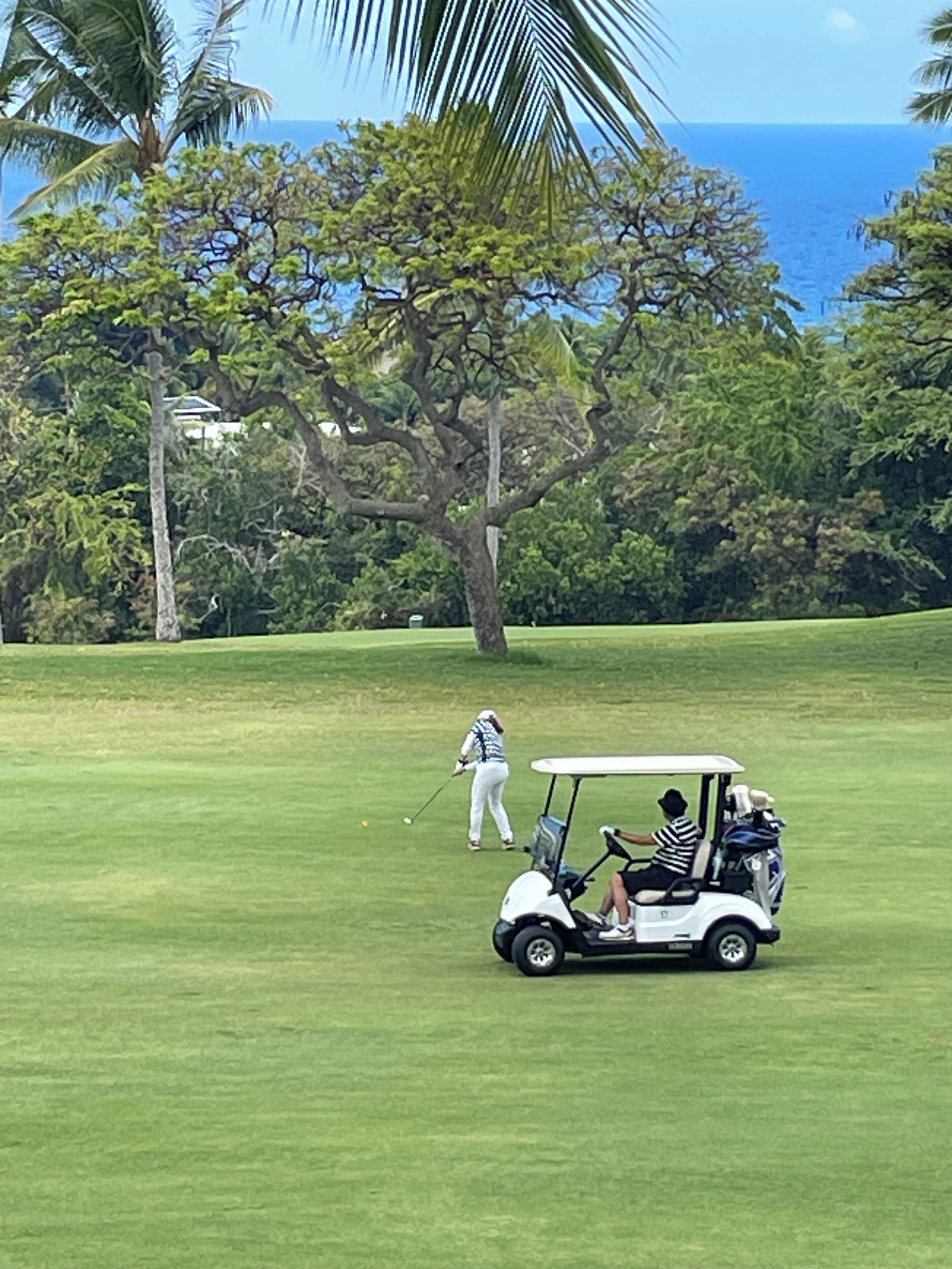 A golf course with a golfer and a golf cart.
