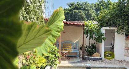 Casa Madrigal/alberca/Garden/Garden/wi-fi