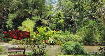 La Poza, El Yunque!!! Camping Area combenation