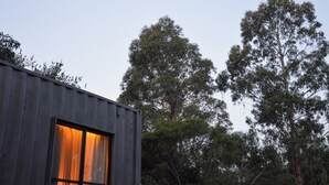 A modern building with a large window and a view of tall trees. - M o k a . Holiday Home by the Sea (Punta Negra)