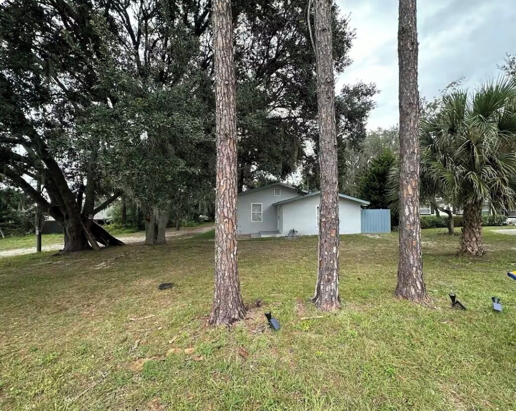 Uma área gramada com árvores e uma casa pequena ao fundo.