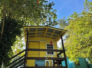 Property grounds - The Casita Amarilla del Yunque & Buena Vibra (Río Grande)