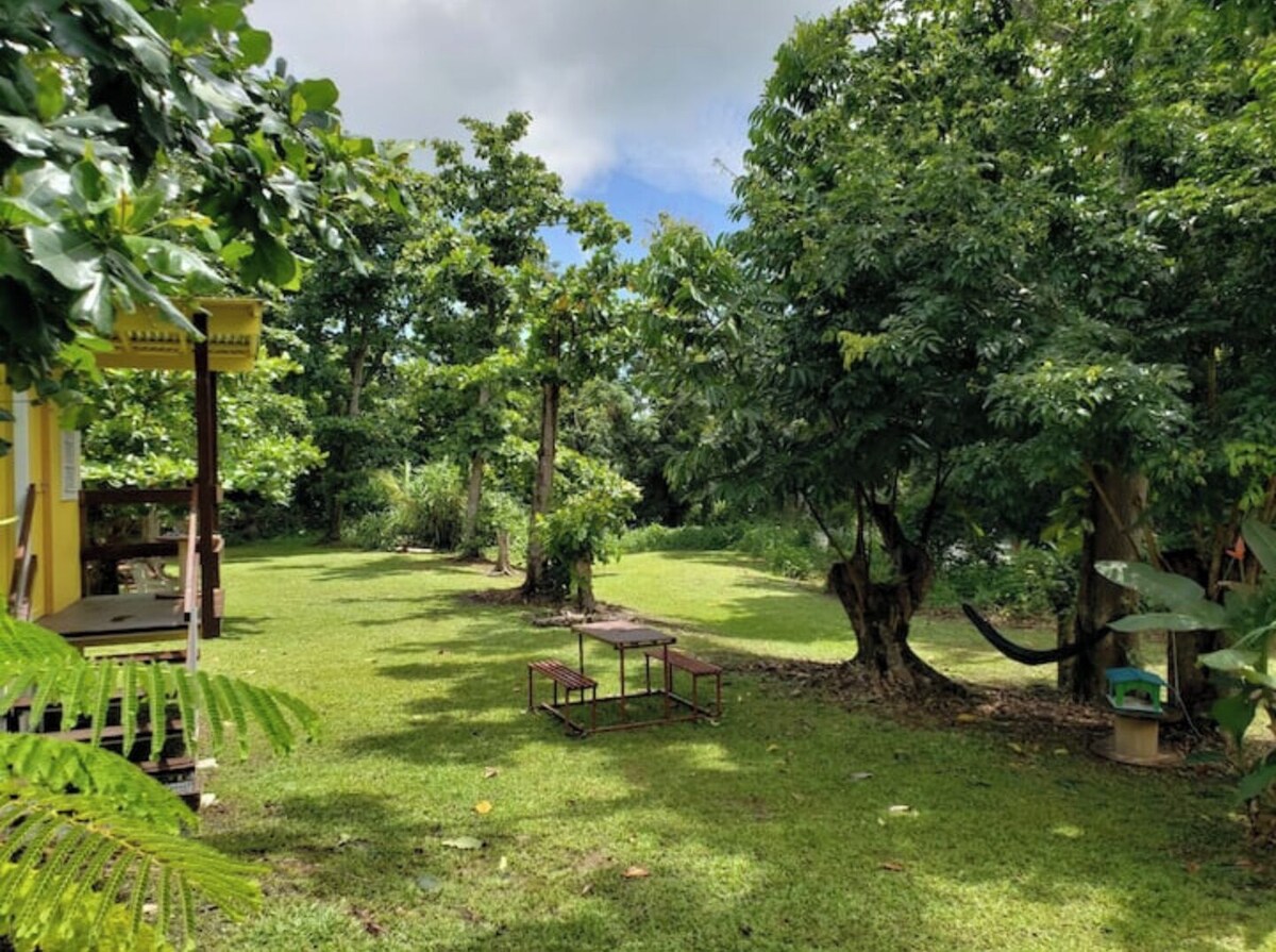 Imagen de perfil del propietario o de la propietaria