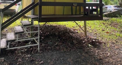 The Casita Amarilla del Yunque & Buena Vibra