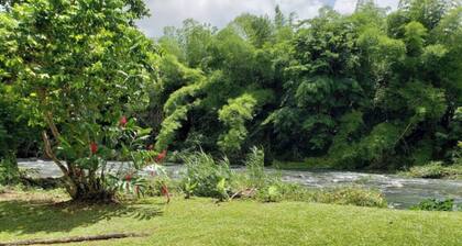 The Casita Amarilla del Yunque & Buena Vibra