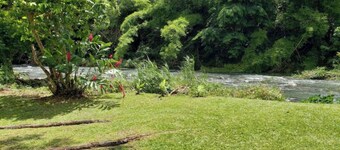 The Casita Amarilla del Yunque & Buena Vibra