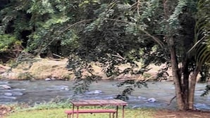 A river with a wooden bench in the foreground.