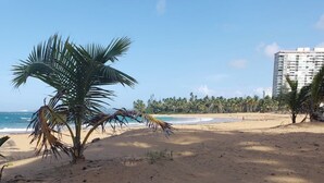 A sandy beach with palm trees and a building in the background.