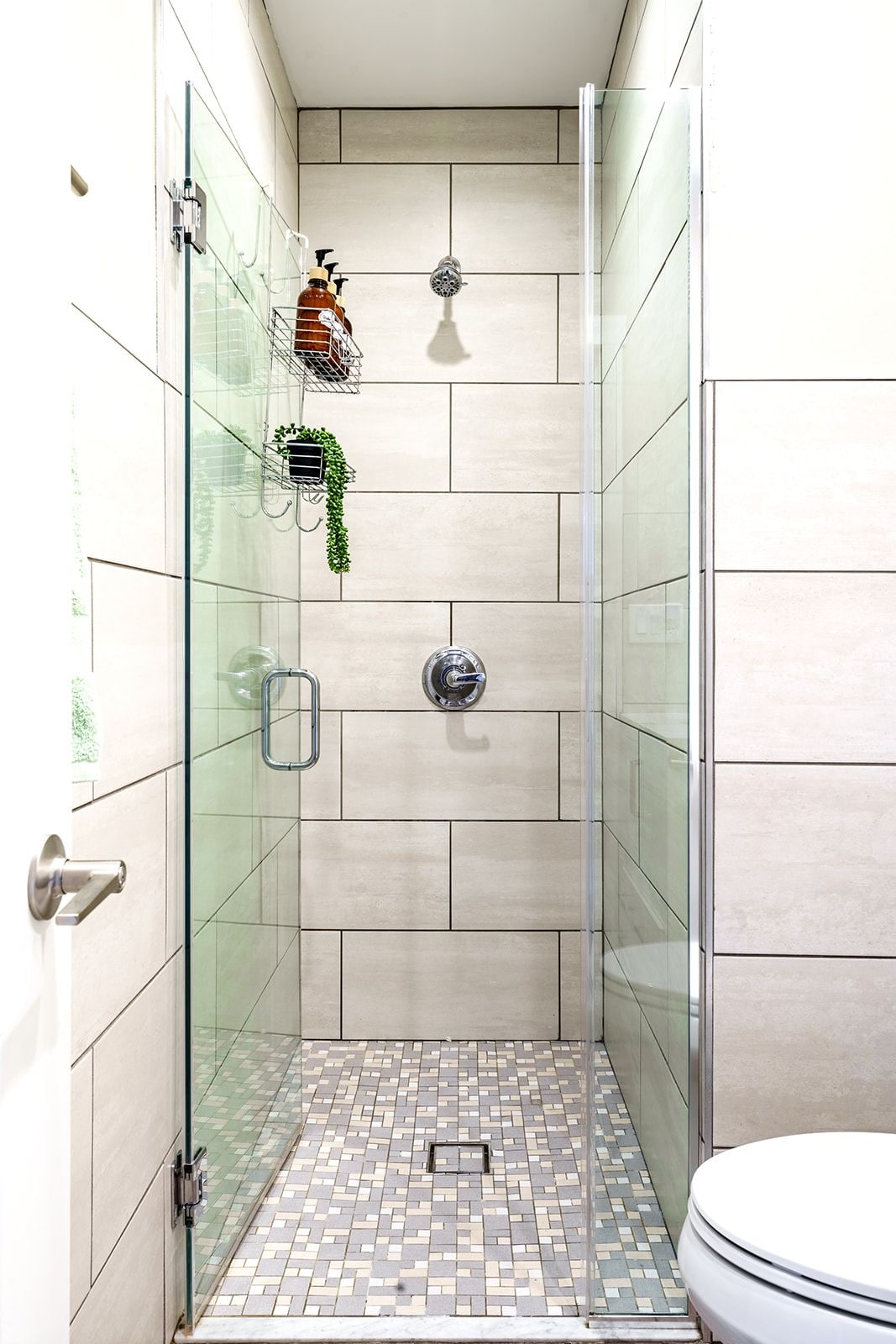 A glass-enclosed shower with tiled walls, a toilet, and a small shelf with a bottle and a plant.
