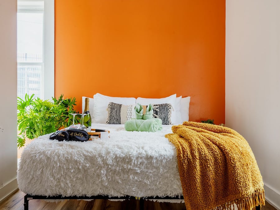 A bedroom with a bed, a green plant, a bottle, and a blanket.