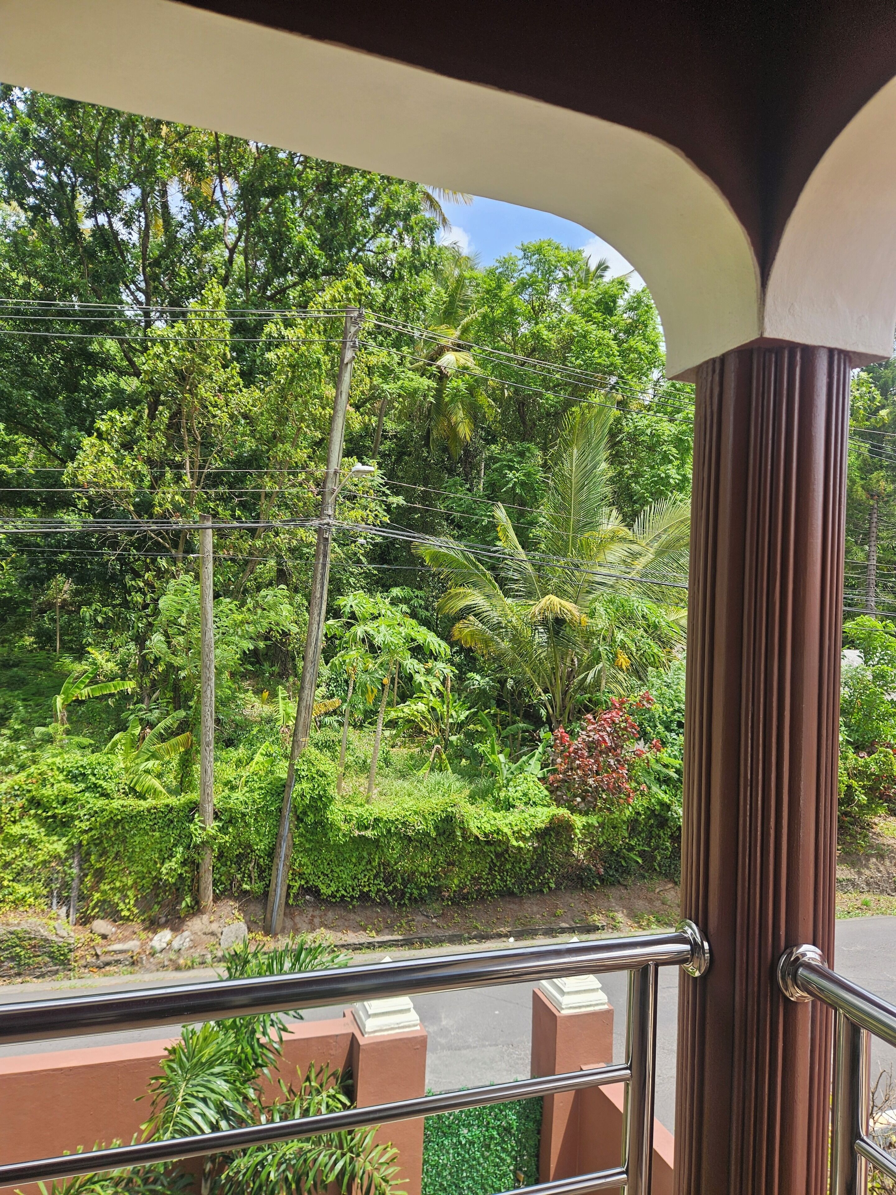 A balcony with a view of dense greenery and a clear sky.