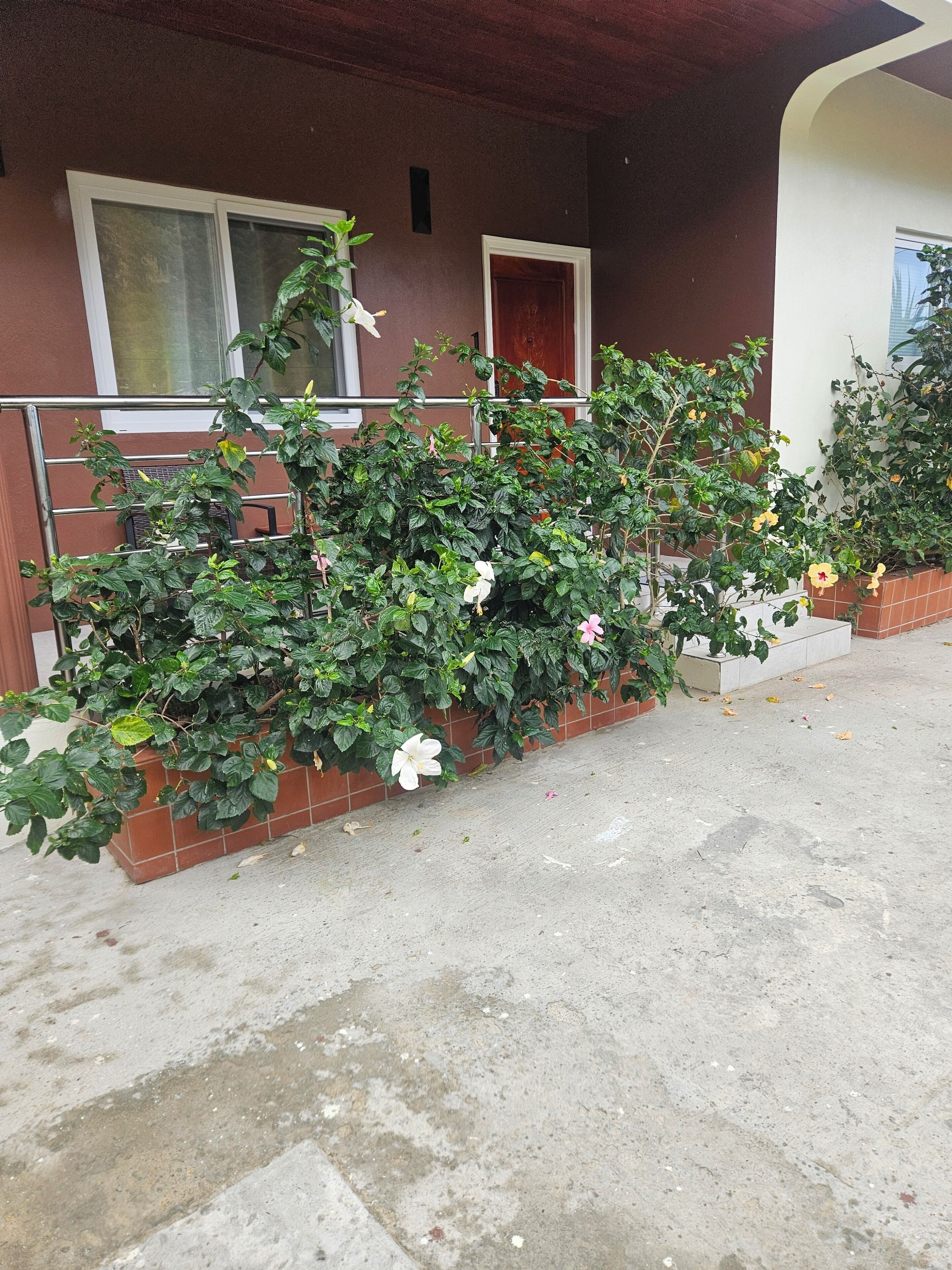 Departamento, vista a la montaña, planta baja | Terraza o patio