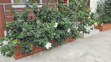Departamento, vista a la montaña, planta baja | Terraza o patio