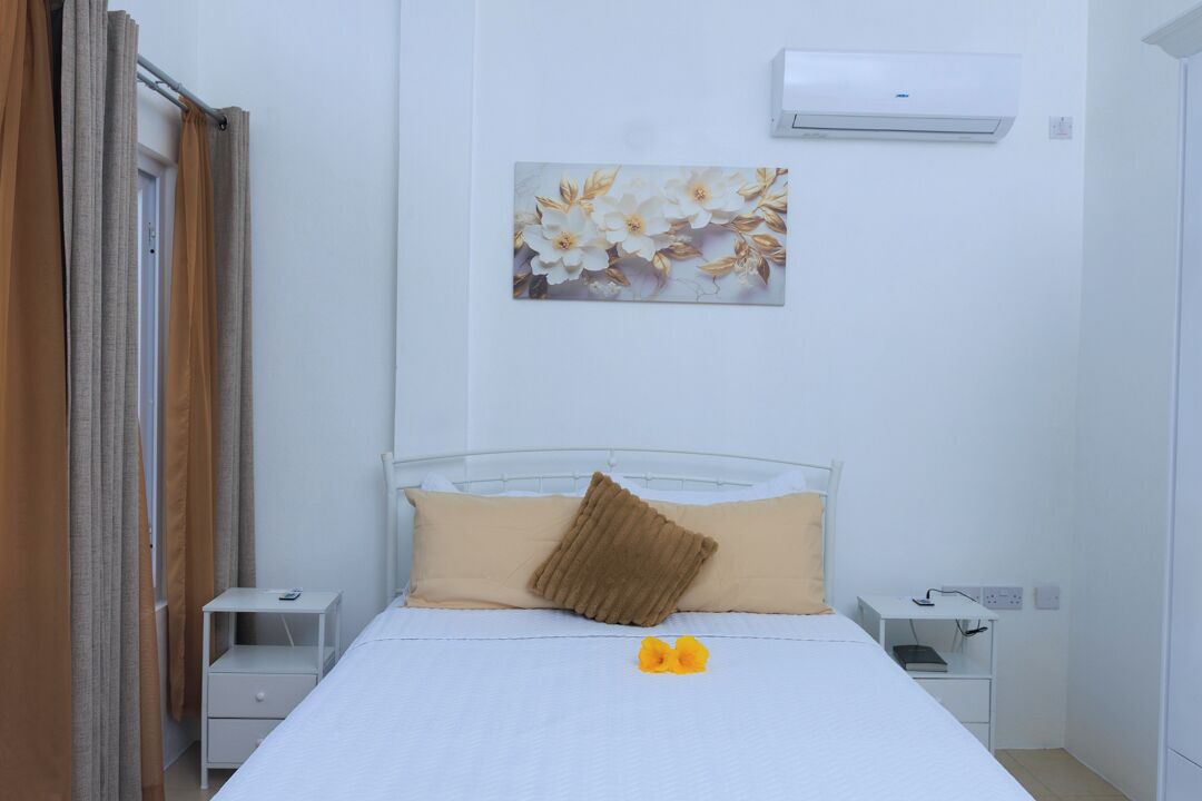Habitació d'hotel amb un llit, una taula de nit, aire condicionat fixat a la paret i un quadre amb flors.