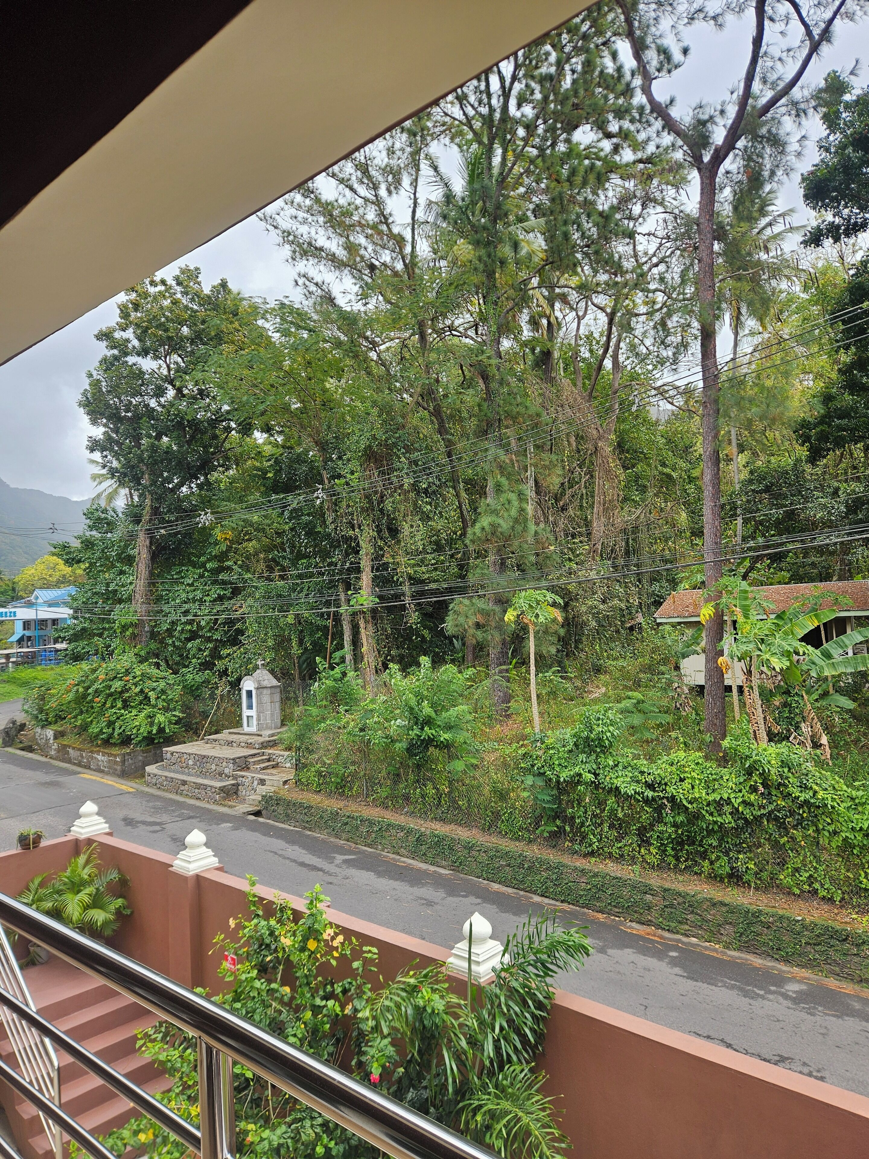 A view from a balcony overlooking a lush garden with various trees and a small shrine.