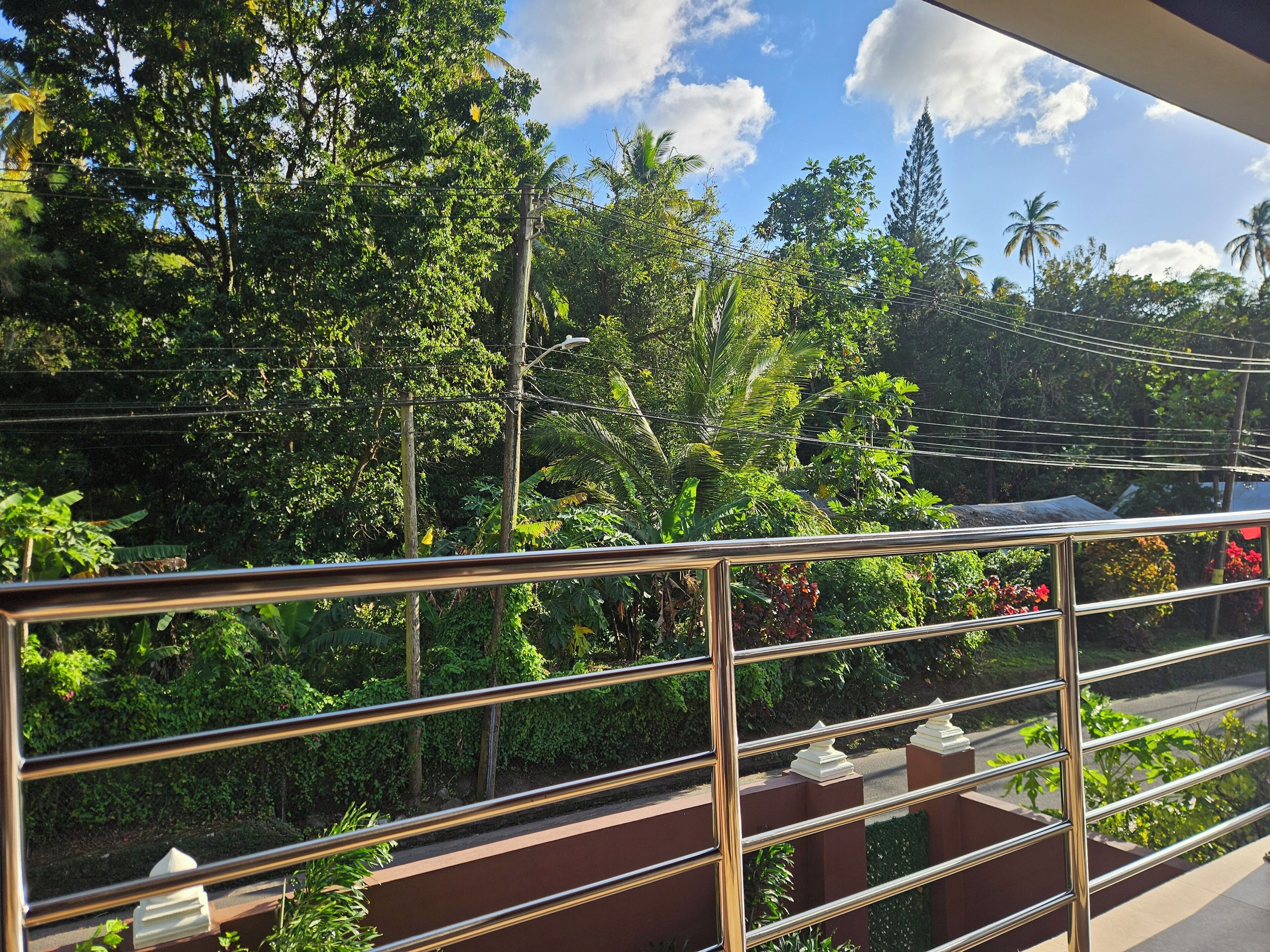 A balcony with a metal railing overlooking a lush garden with various trees and plants.