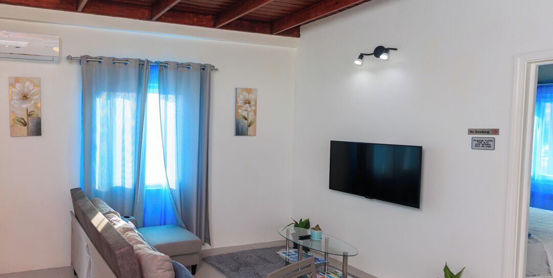 A living room with a sofa, a TV mounted on the wall, a glass table with a plant, and a window with curtains.