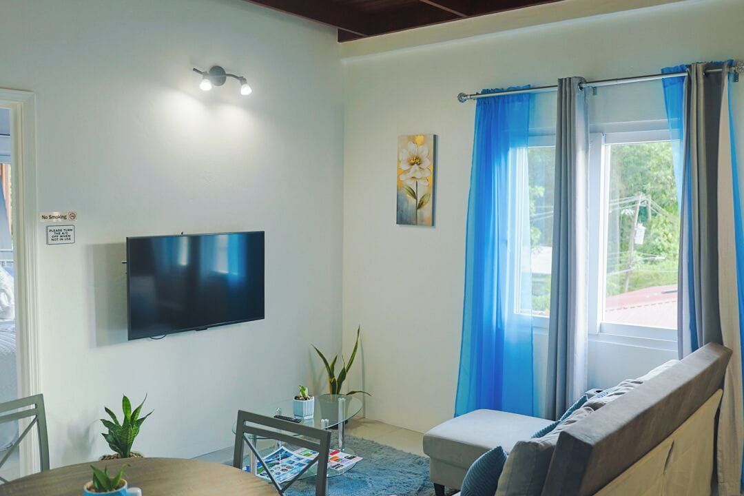 Una sala de estar con una televisión de pantalla plana, un sofá, una mesa de comedor con sillas y una ventana con cortinas azules.