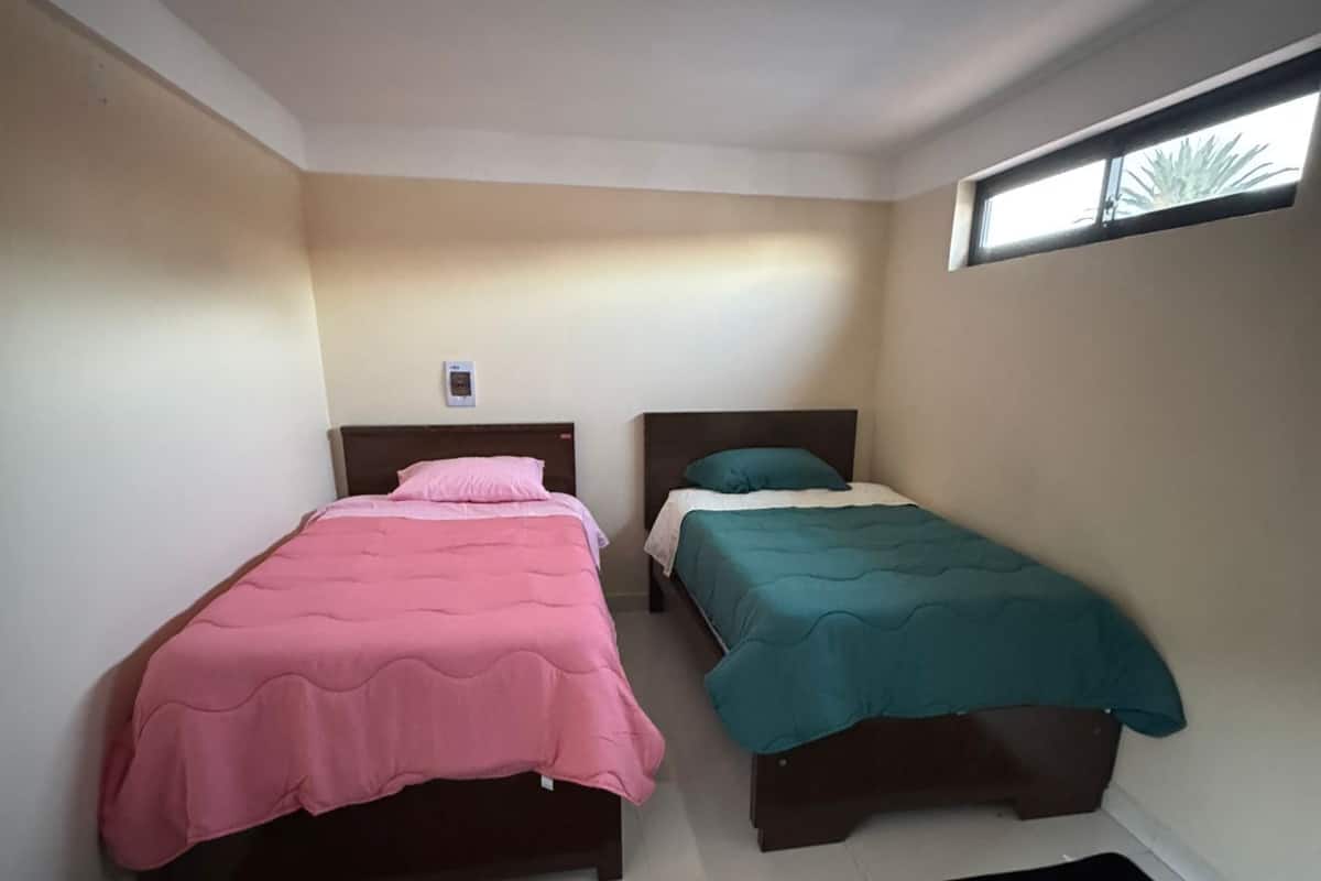 A small room with two single beds, a black rug, and a window with a plant outside.