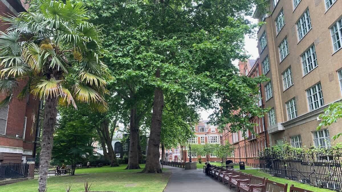 المنطقة المحيطة بالمنشأة