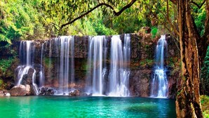 A waterfall cascading into a clear pool surrounded by dense greenery. - Camper Special Jeep Wrangler Rubicon 2021 (Anahola)