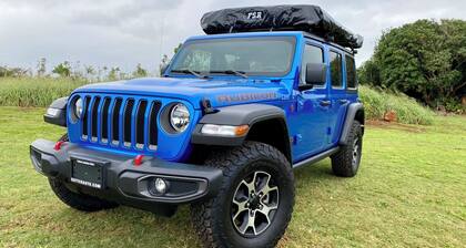 Camper Special Jeep Wrangler Rubicon 2021