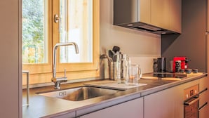 A modern kitchen with stainless steel appliances, a built-in oven, and a window with a view of greenery. - Beauregard 1 by Interhome (Nendaz)