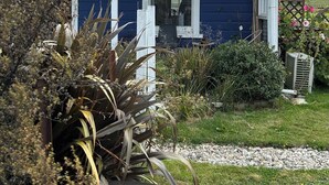 Une maison bleue avec un porche blanc, une cheminée et un jardin agrémenté de plantes et d’un chemin de gravier.