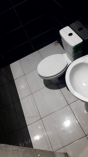Bidet, towels, toilet paper