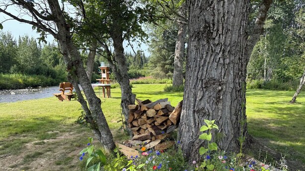 A rustic outdoor setting with a wooden bench, a small table, and a stack of firewood under a tree. - Enchanting cabin on the river in charming Anchor Point, AK (Anchor Point)