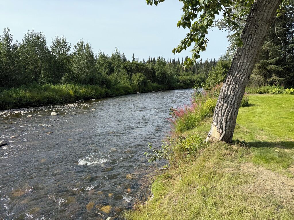 Un fiume con acque limpide, circondato da una vegetazione rigogliosa e alberi.