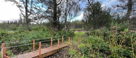 المنطقة المحيطة بالمنشأة