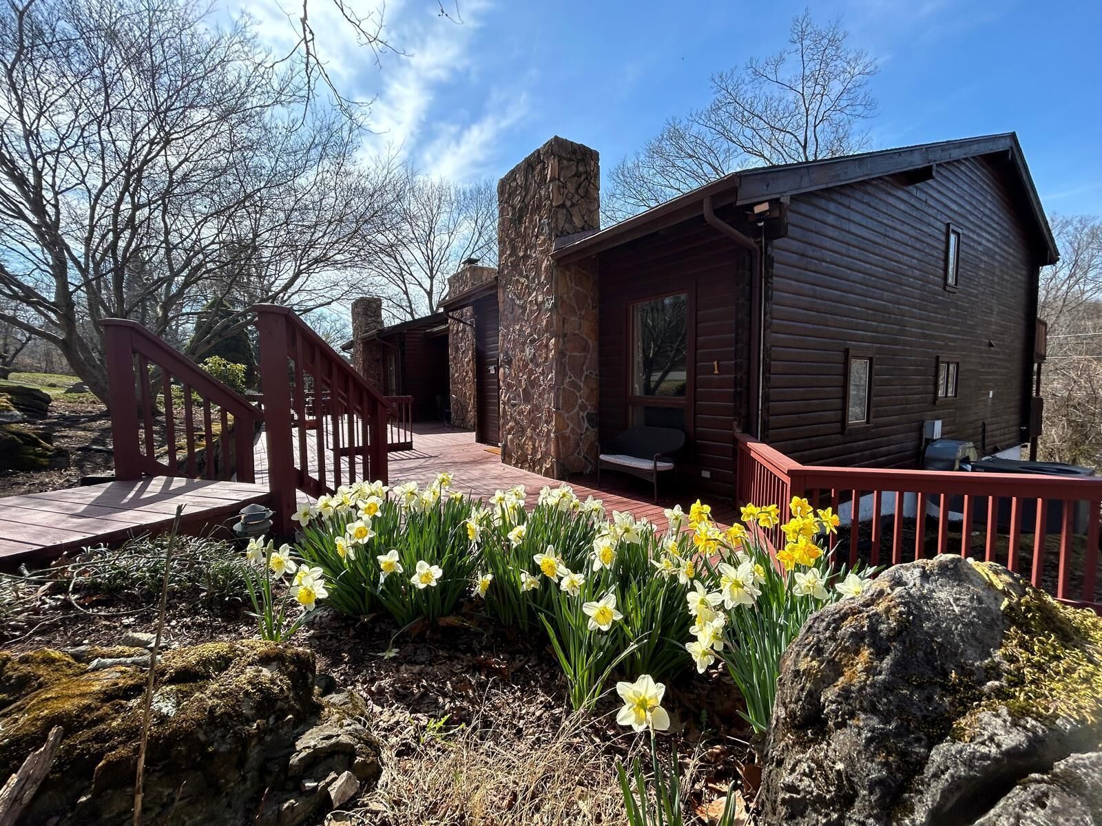 テラス / パティオ