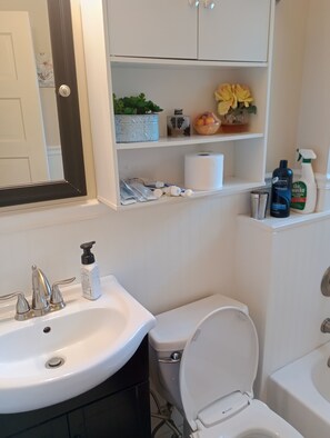 Sèche-cheveux, serviettes fournies, savon, papier toilette