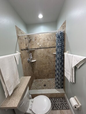 Hair dryer, towels, soap, toilet paper - Private apartment with free parking 10 minutes from Tampa International Airport. (Tampa)