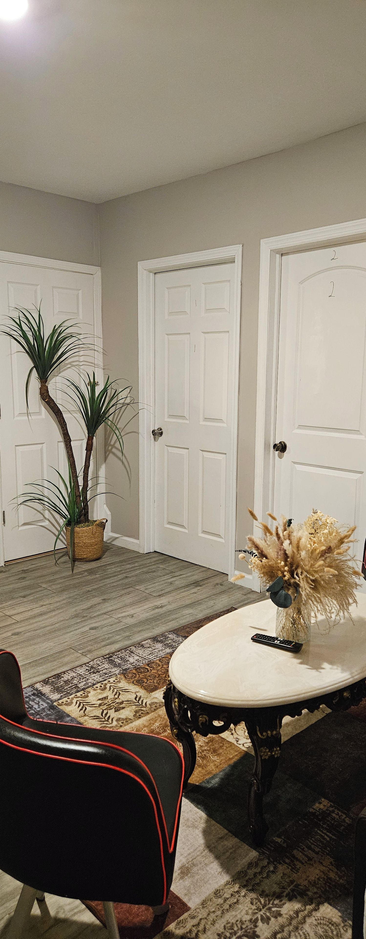 A room with a patterned rug, a potted plant, a vase with dried flowers, and a chair with red trim.