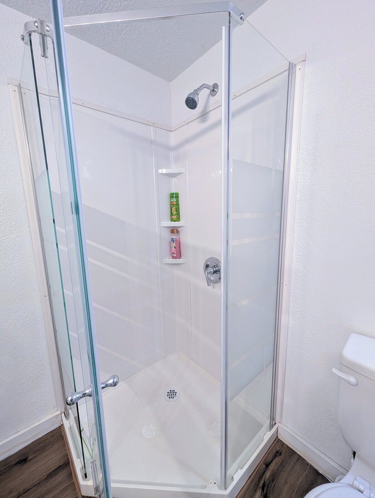 Eine Duschkabine mit Handbrause, eine kleine Ablage für Toilettenartikel und eine weiße Toilette.