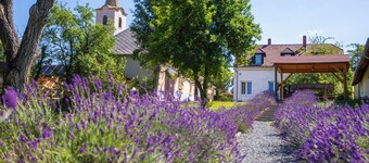 Nora Guest House, Nagygörbő, Hungary