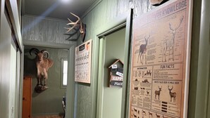 A hallway with wooden floors, green walls, and various animal-themed decorations including mounted antlers and a poster with animal illustrations.