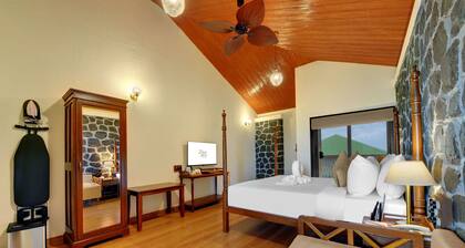 Alokik Sharanam Zinc Journey by The Fern