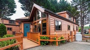 Une cabane en bois avec une porte bleue, une terrasse en bois et un espace clos agrémenté de plantes.