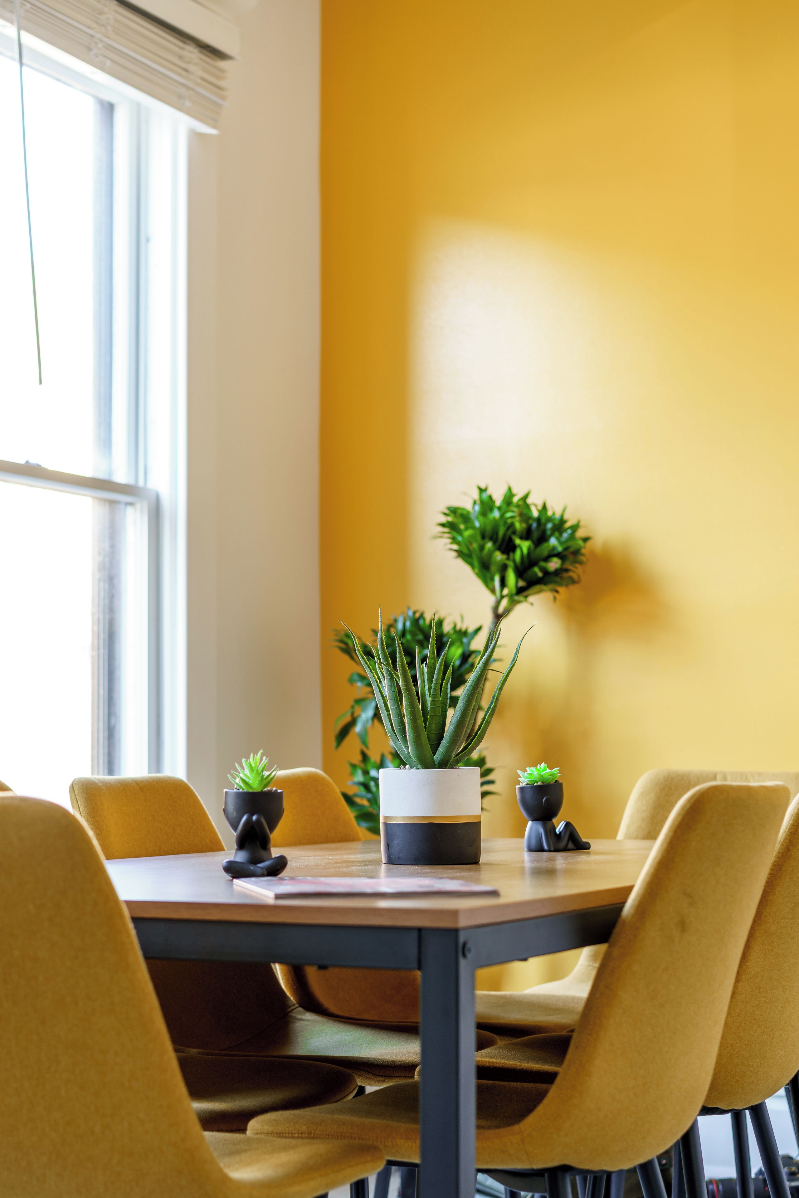 Une table à manger avec des chaises, des plantes en pot et une fenêtre avec des stores.