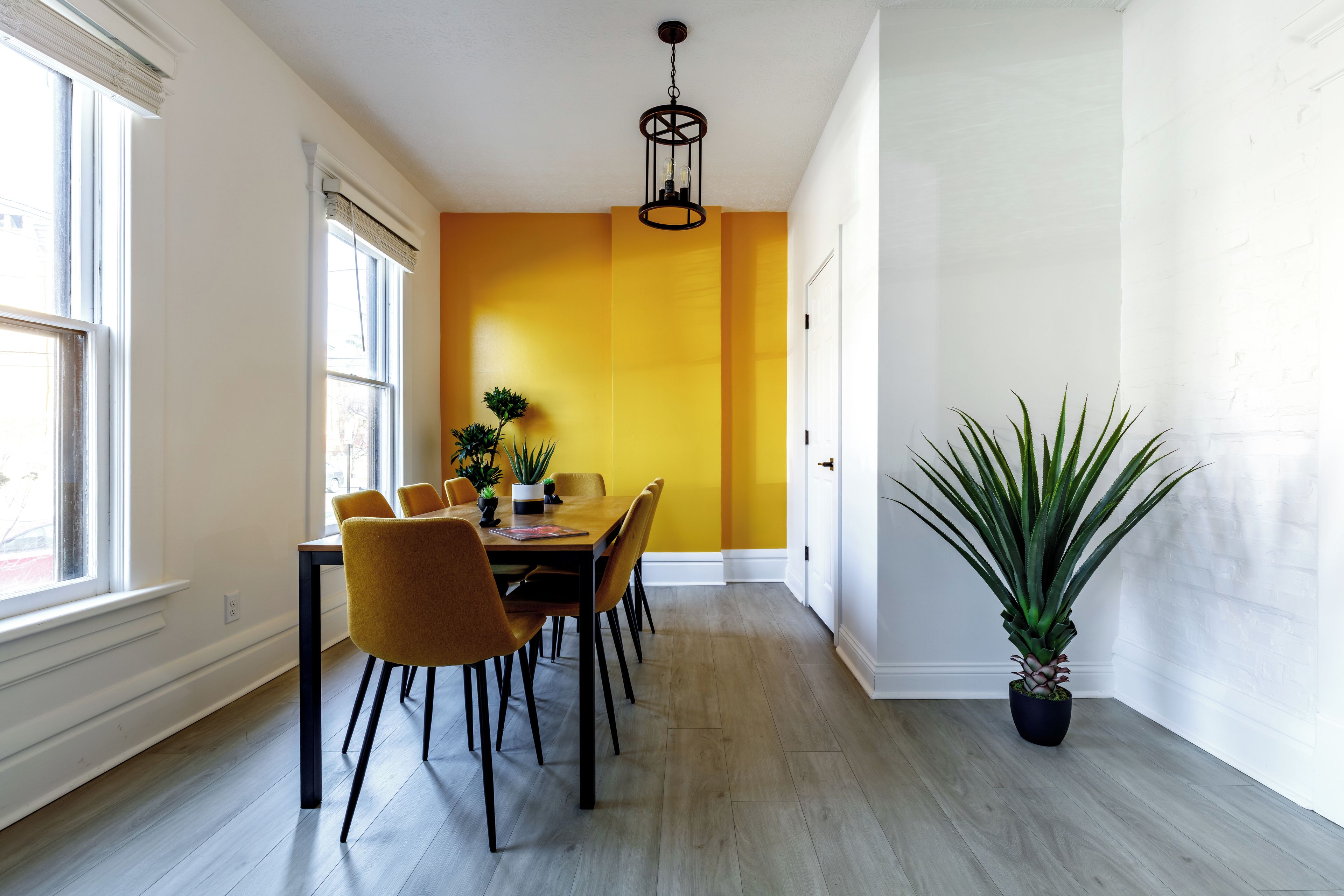 A dining area with a table, chairs, and a potted plant.