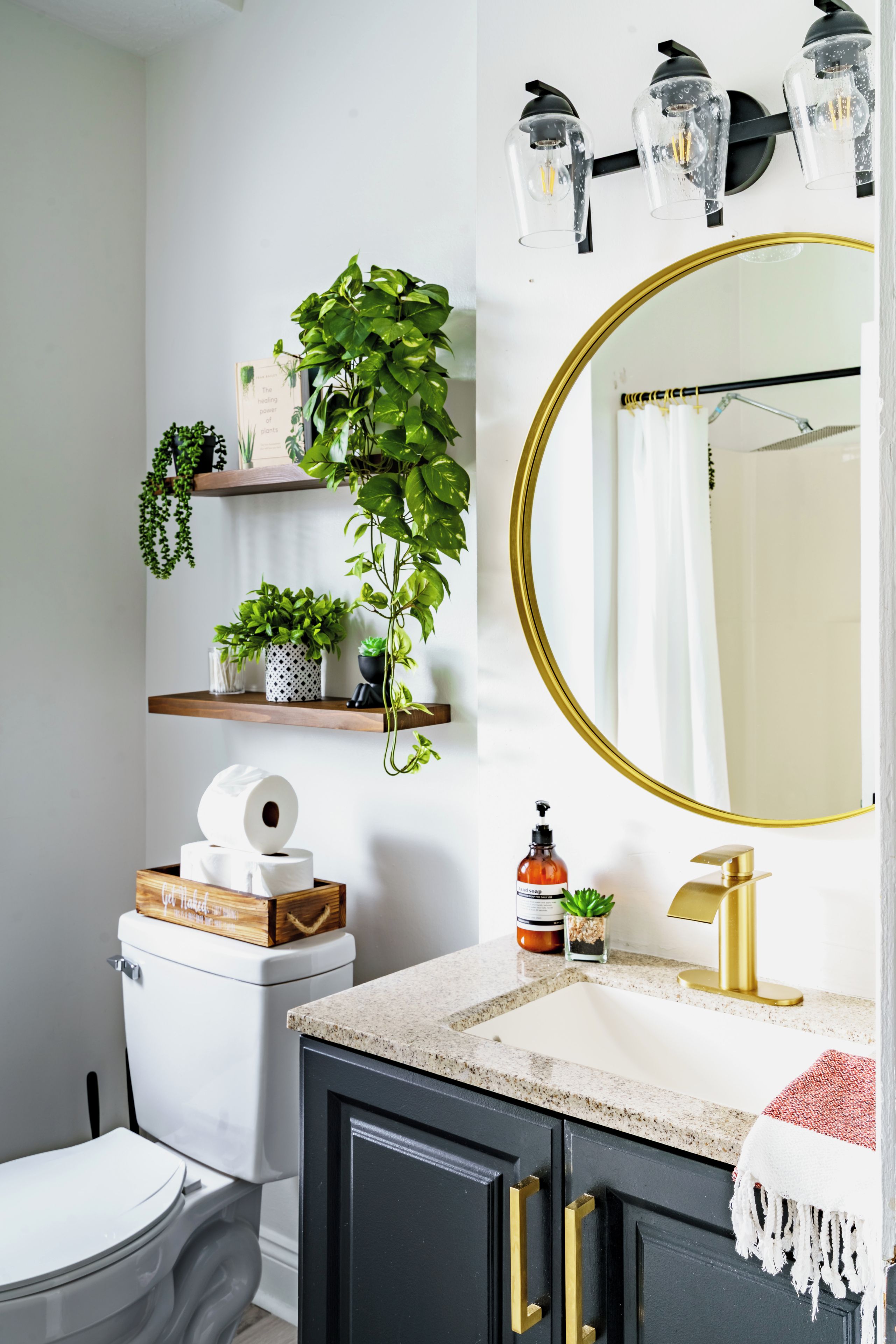 Baño con inodoro, lavabo, espejo y estantes con plantas.