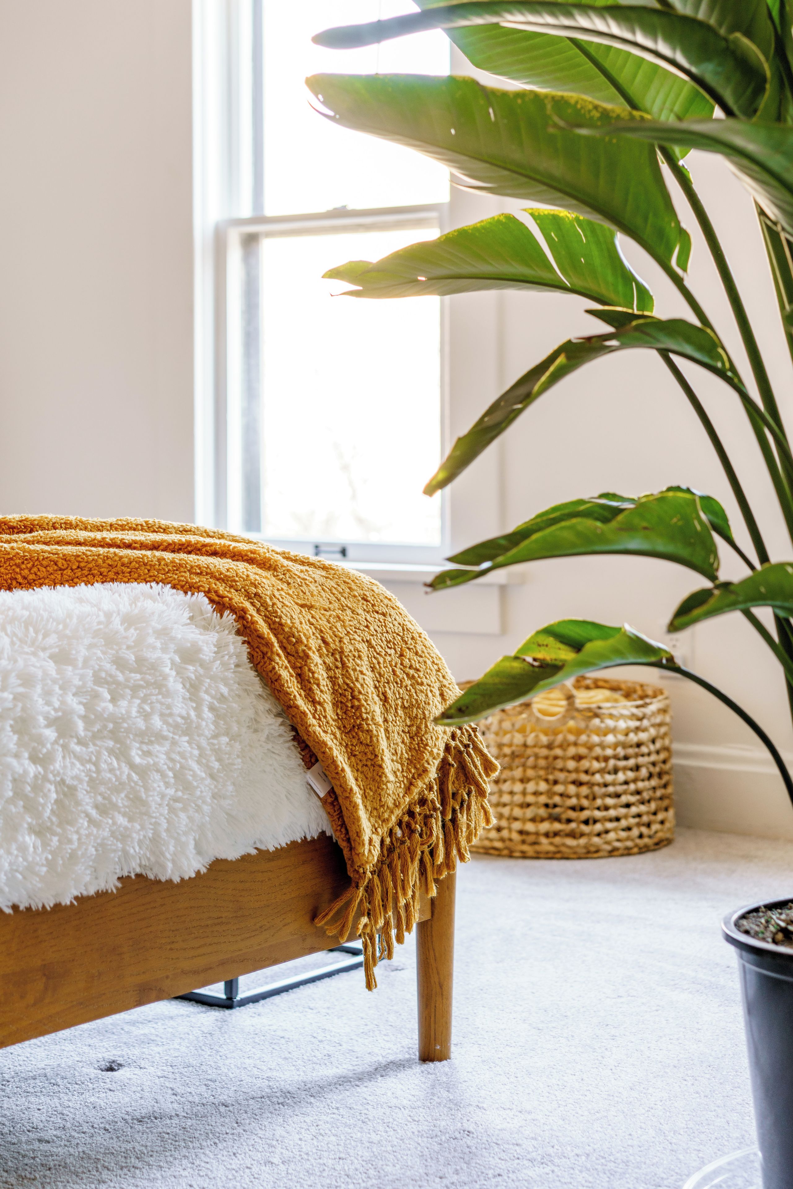 A bed with a white and mustard blanket, a potted plant, and a woven basket in a room with a window.